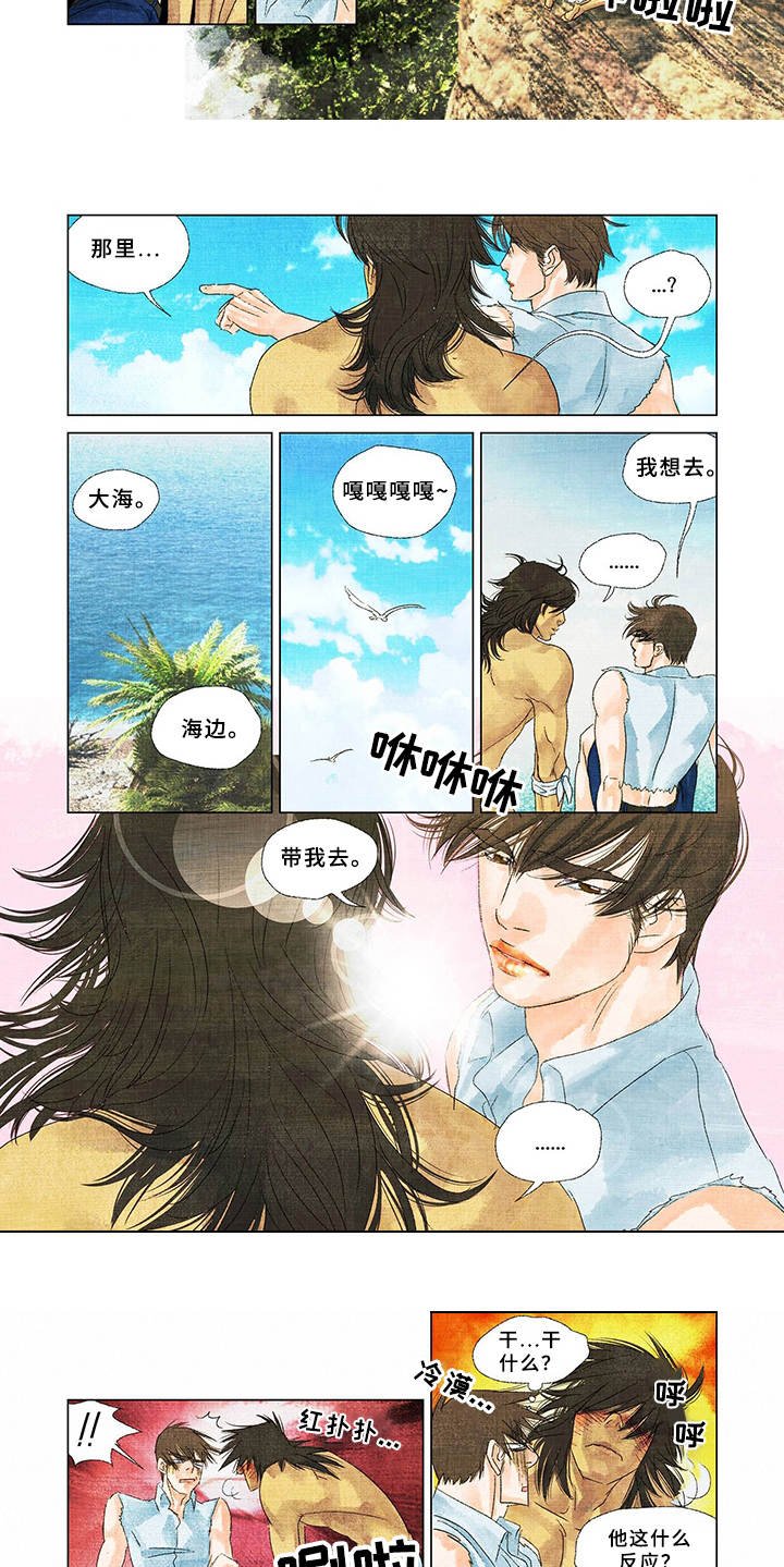 第7章：登高望远