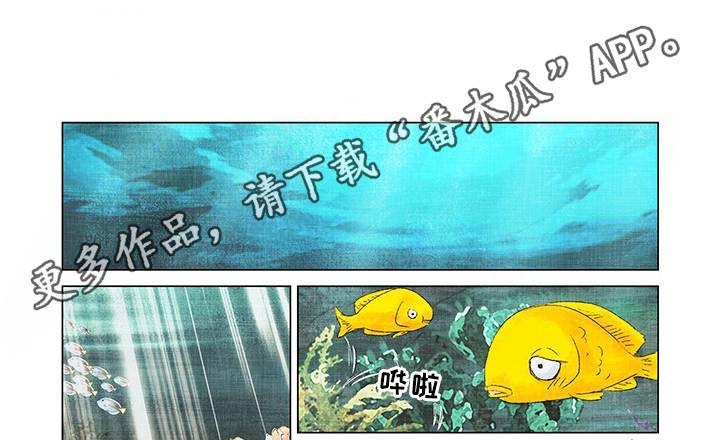 第8章：伤口