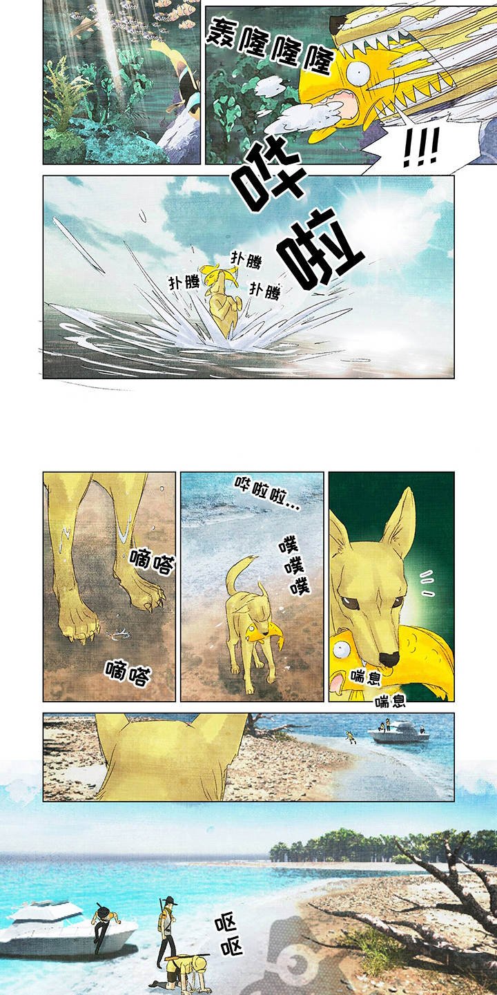 第8章：伤口