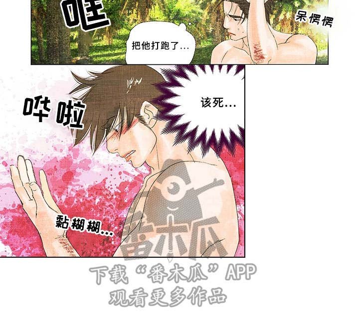 第8章：伤口