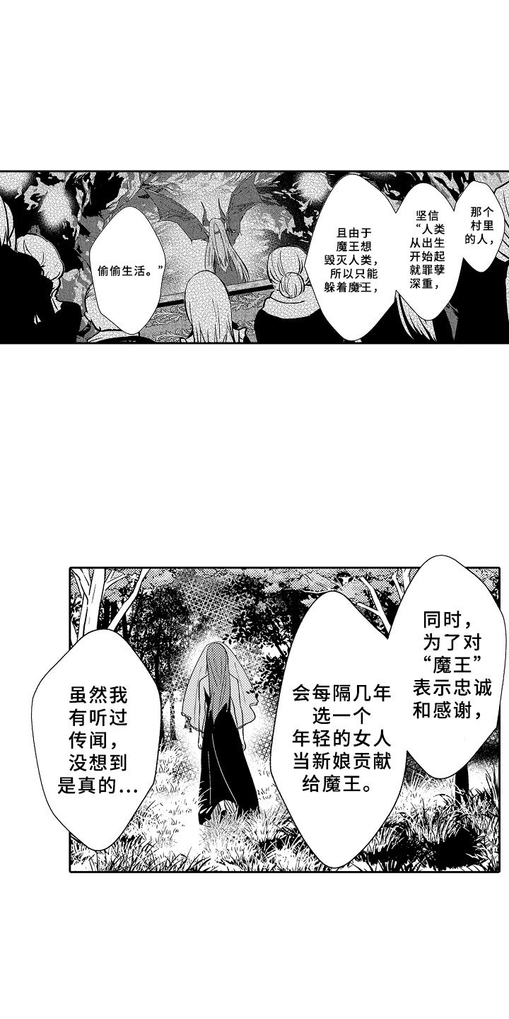 第11章：以爱之名