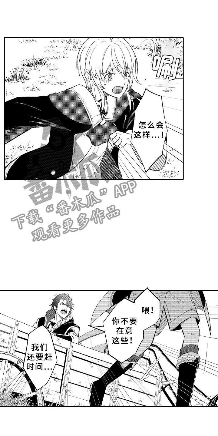 第11章：以爱之名