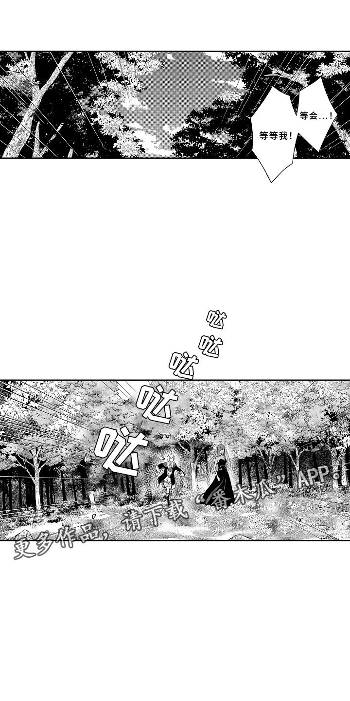 第11章：以爱之名