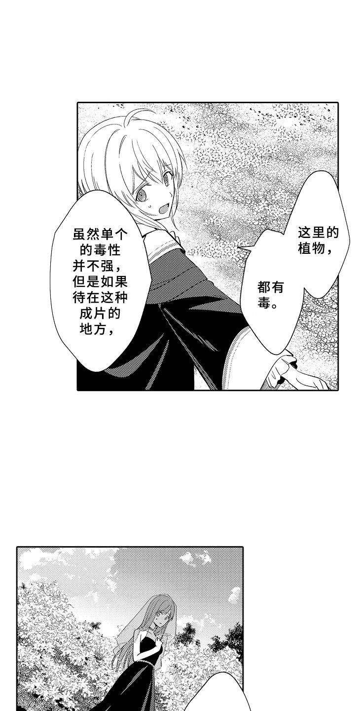 第11章：以爱之名