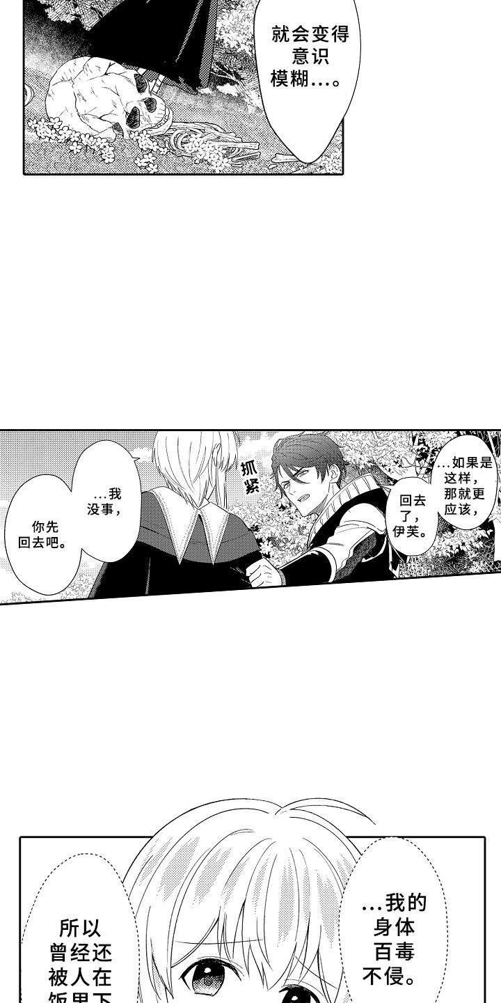 第11章：以爱之名