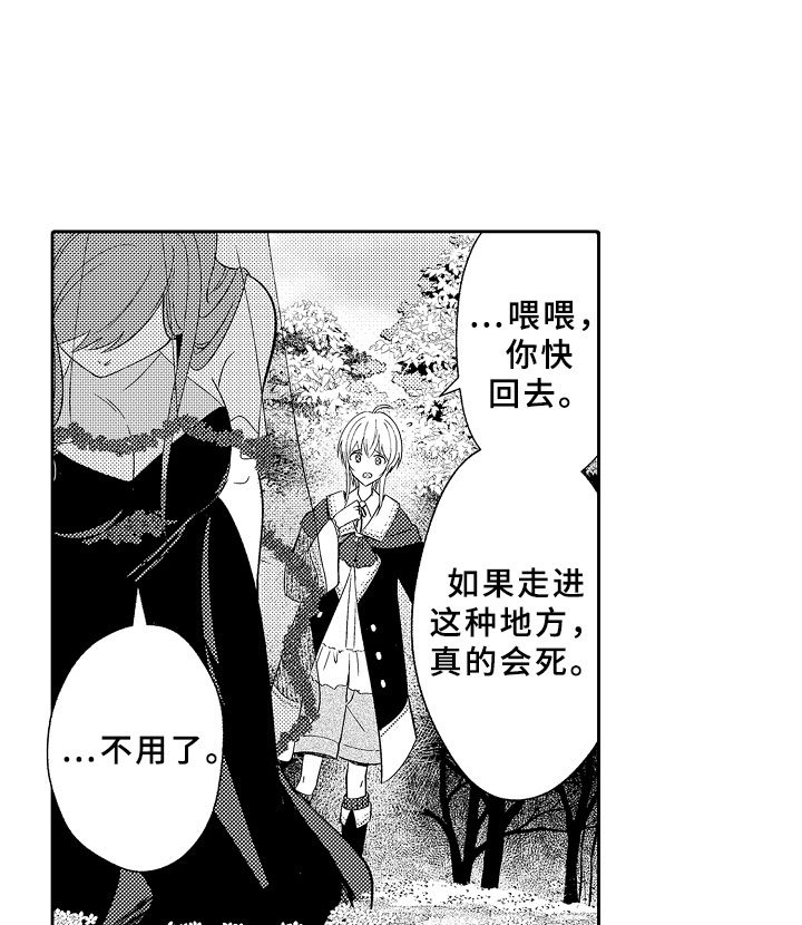 第11章：以爱之名