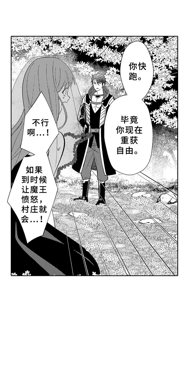 第11章：以爱之名