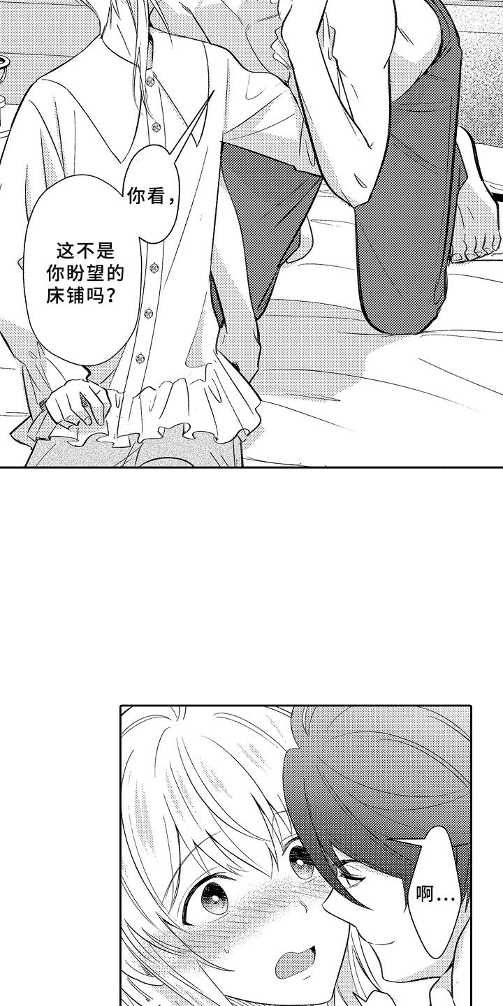 第16章：独占