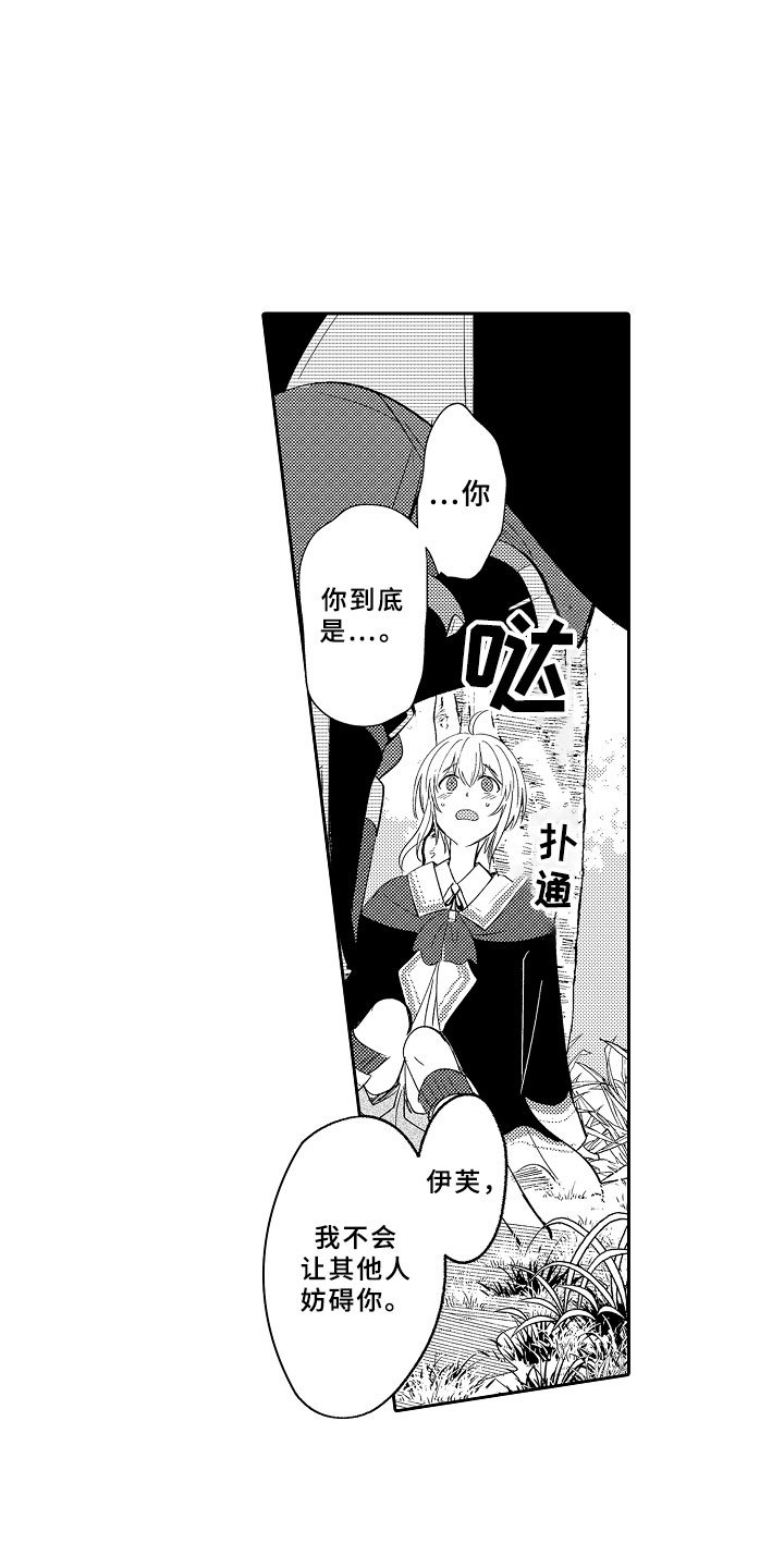 第3章：魅惑魔法