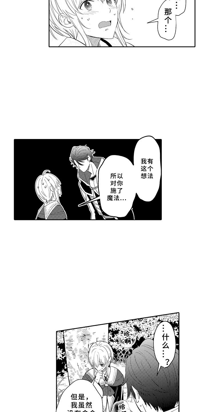 第3章：魅惑魔法