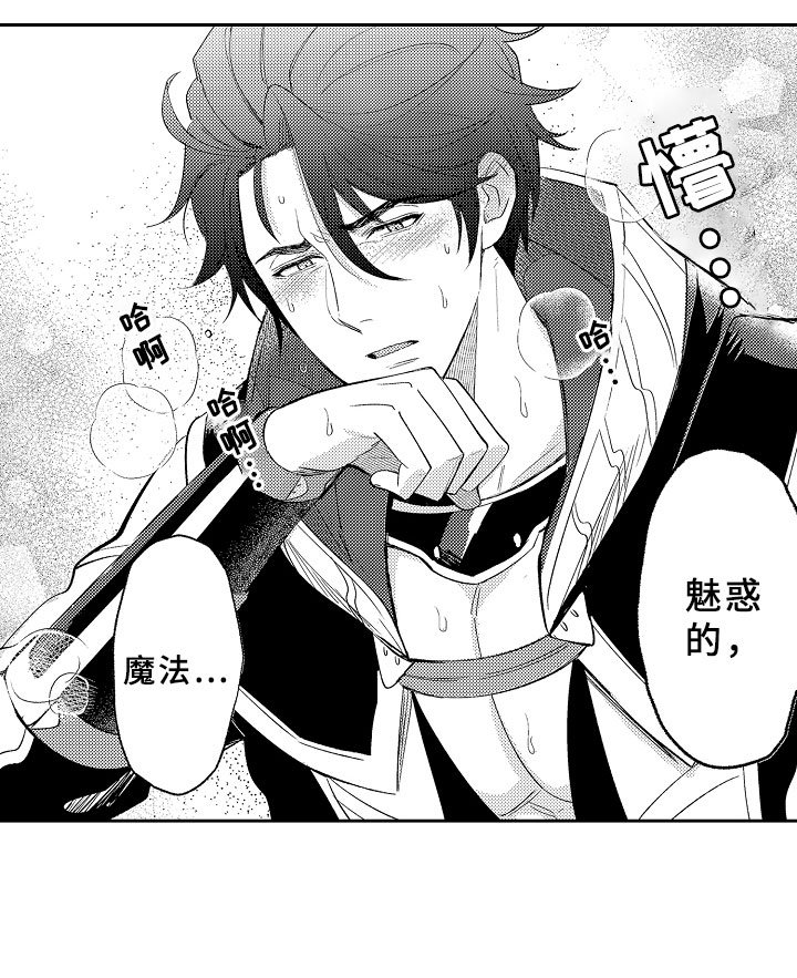 第3章：魅惑魔法