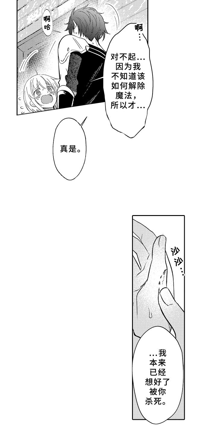 第5章：迷上你了