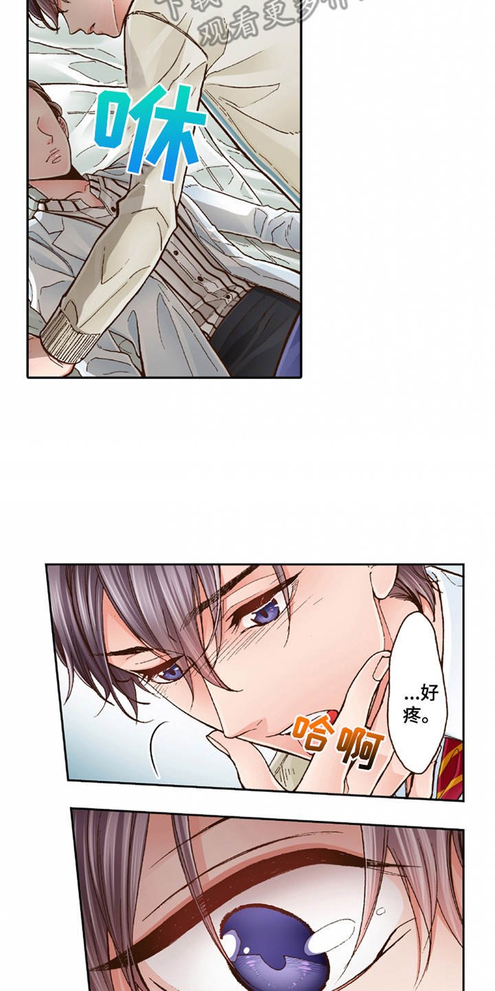 第17章：安慰