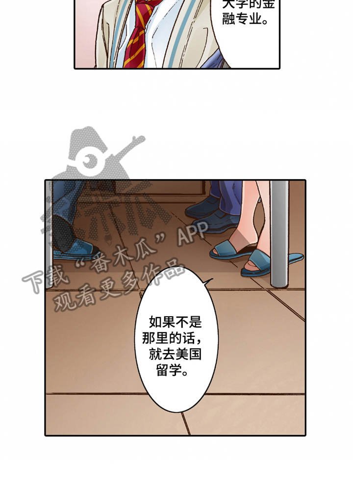 第18章：咨询
