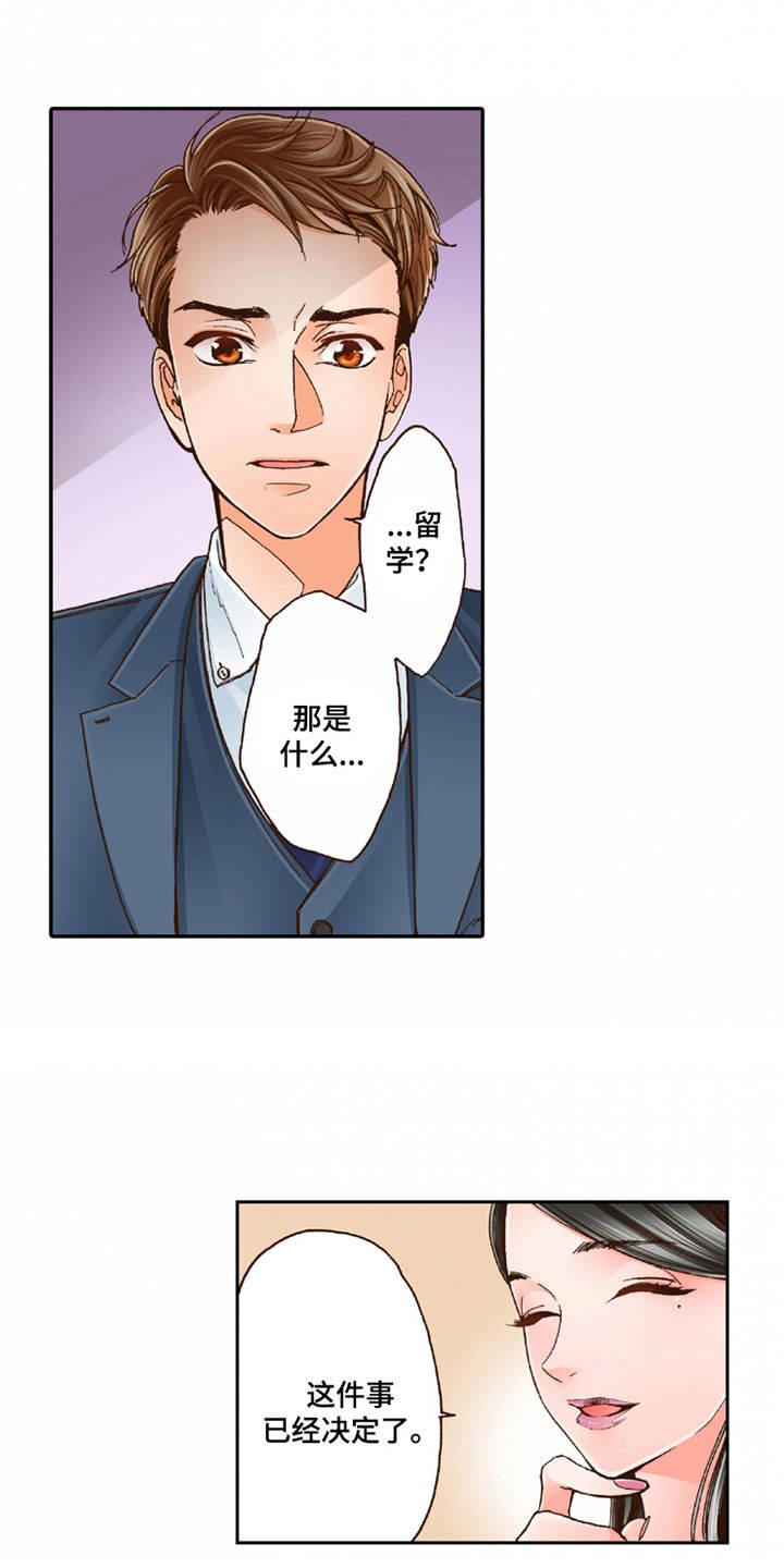 第18章：咨询