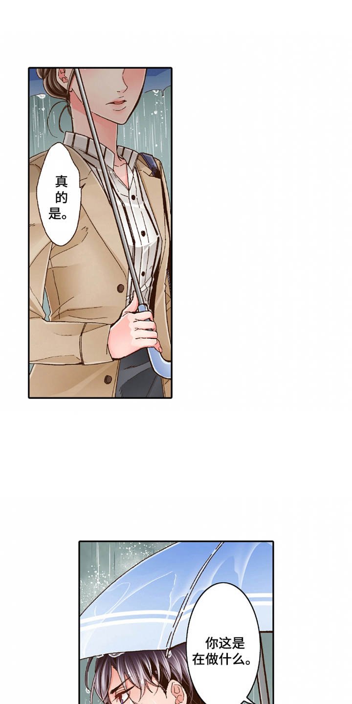 第20章：收留