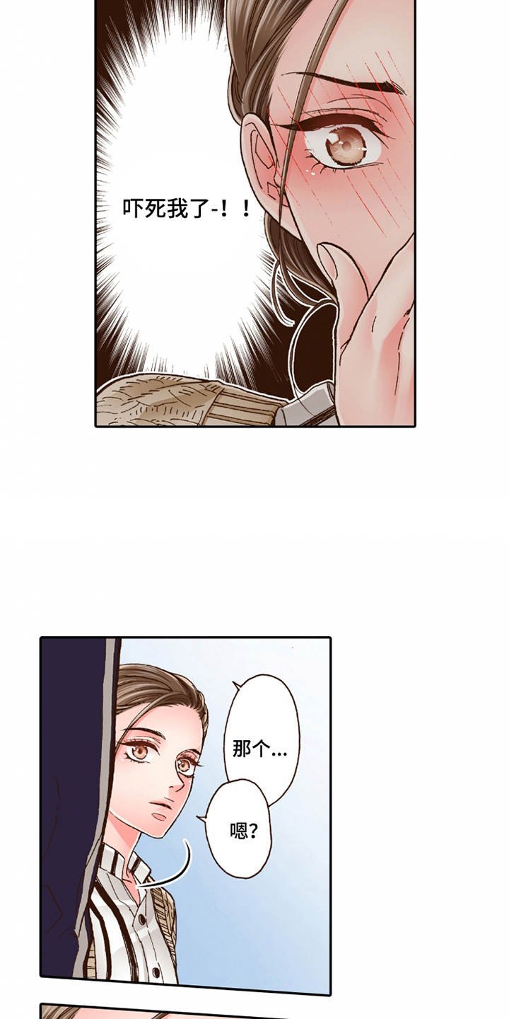 第20章：收留