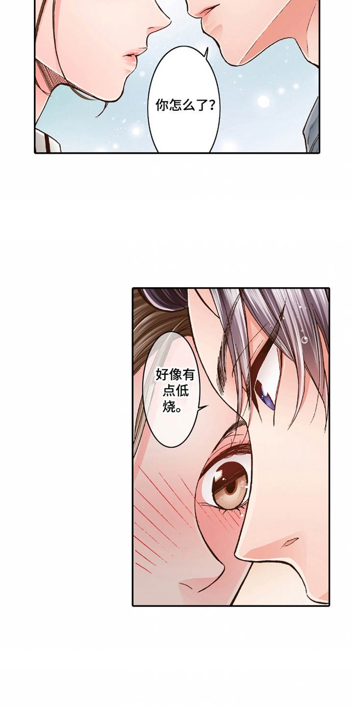 第20章：收留