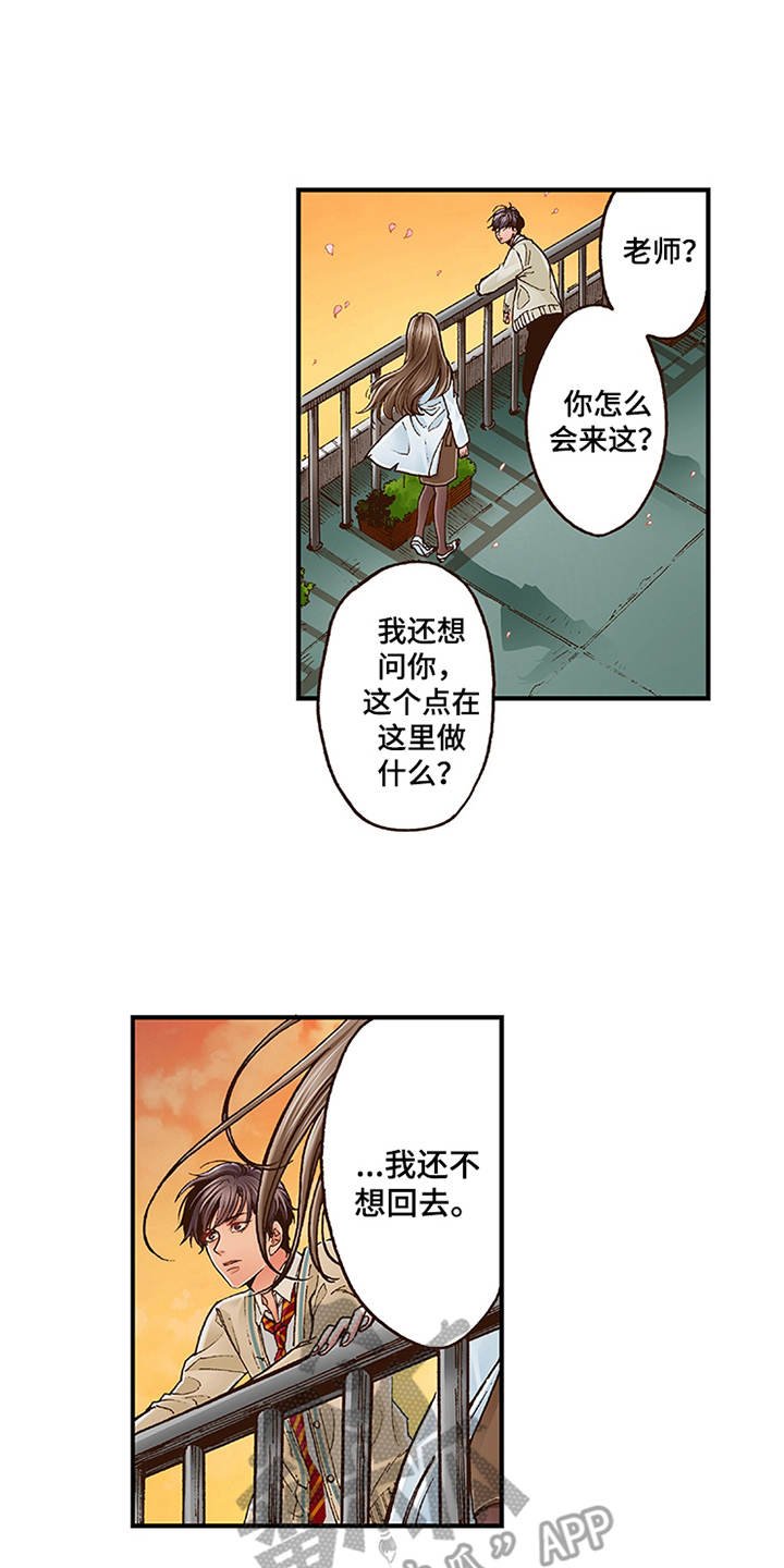 第6章：天台