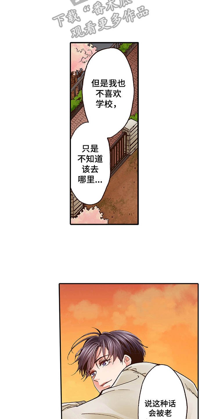 第6章：天台