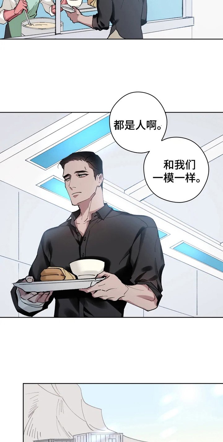 第11章：非常喜欢