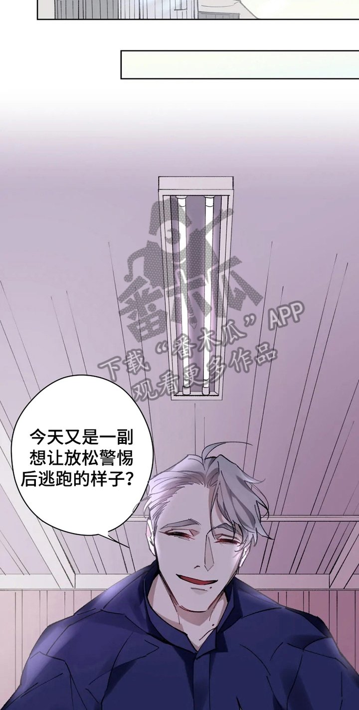 第11章：非常喜欢