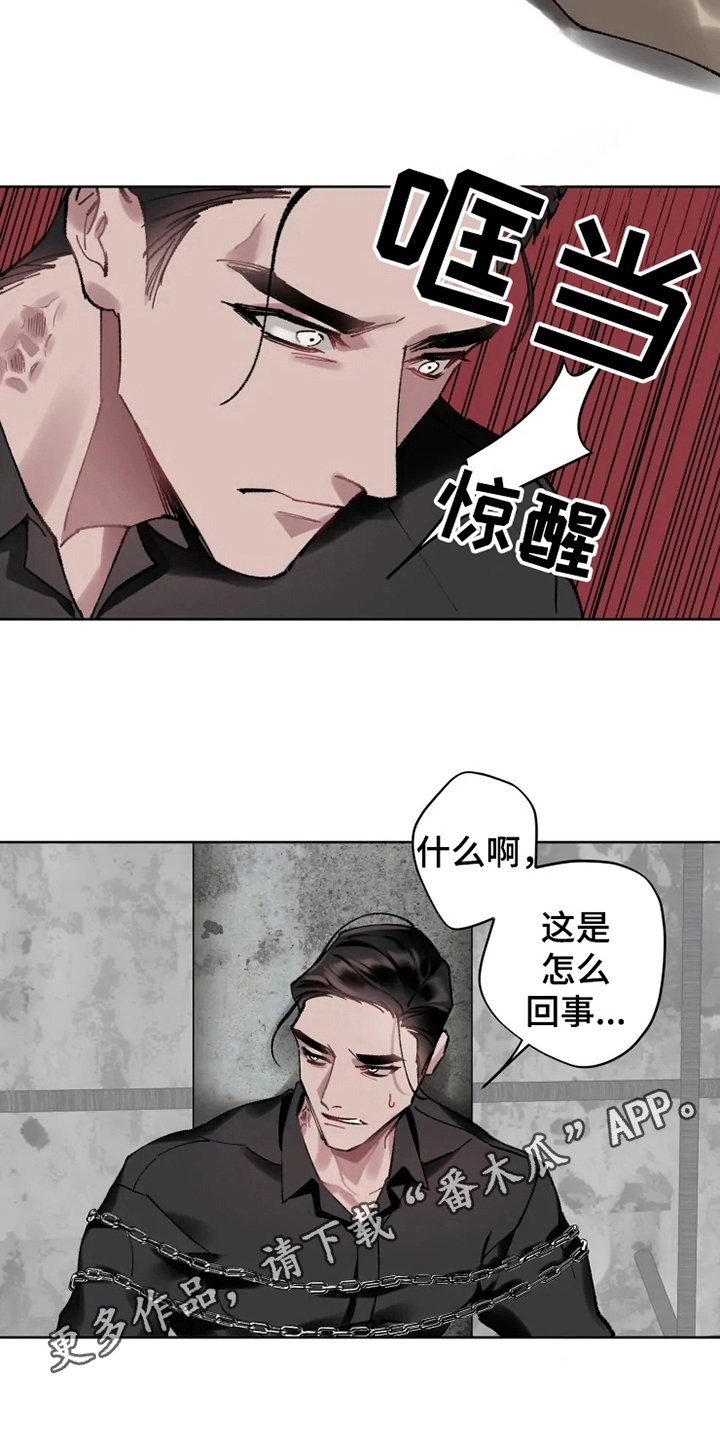 第13章：救援