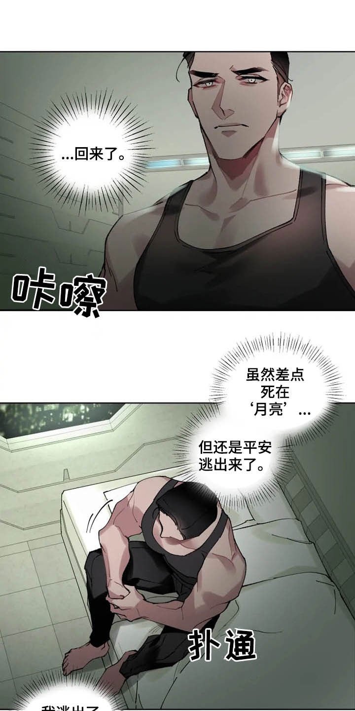 第15章：想法