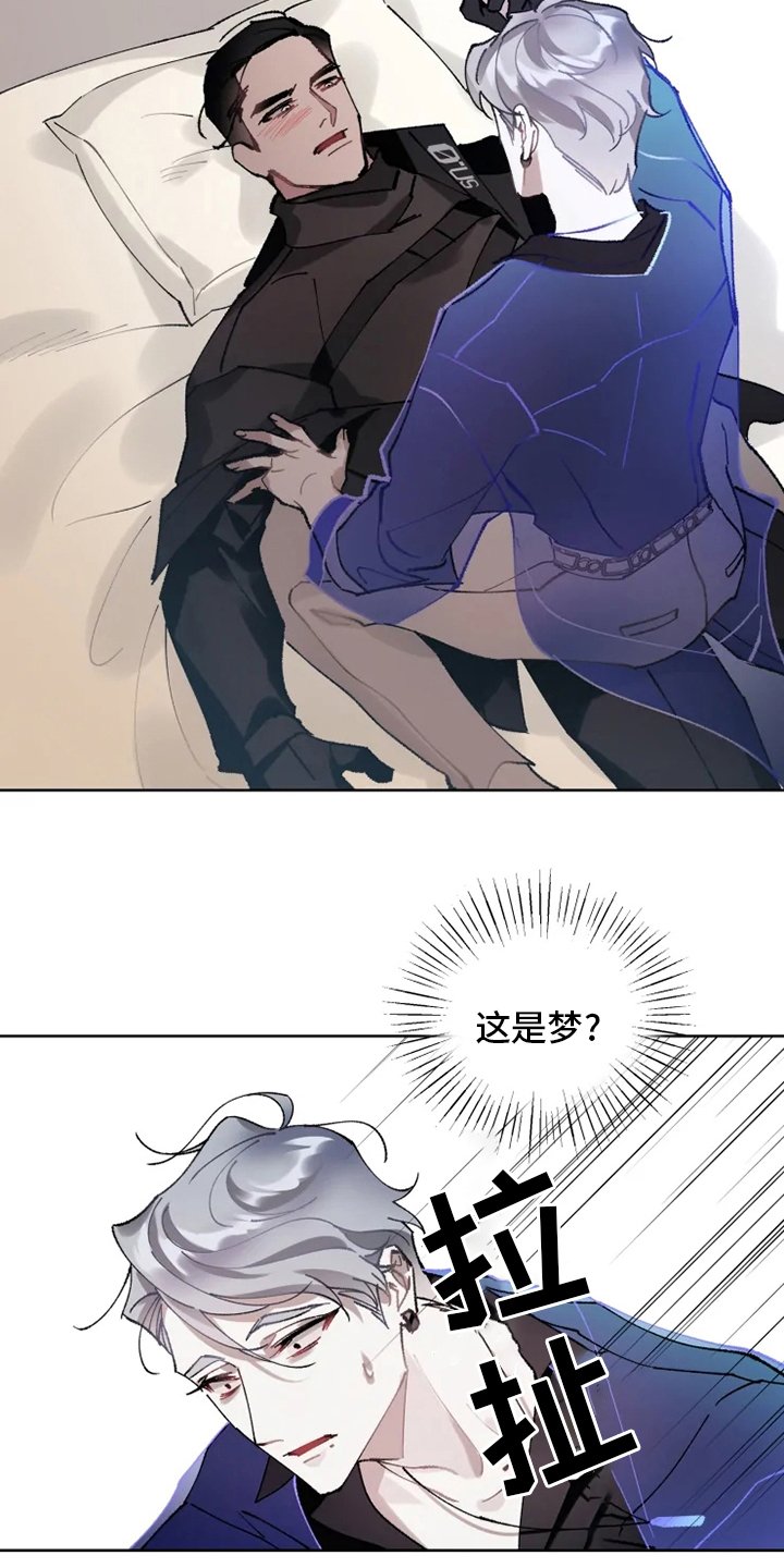 第20章：配合