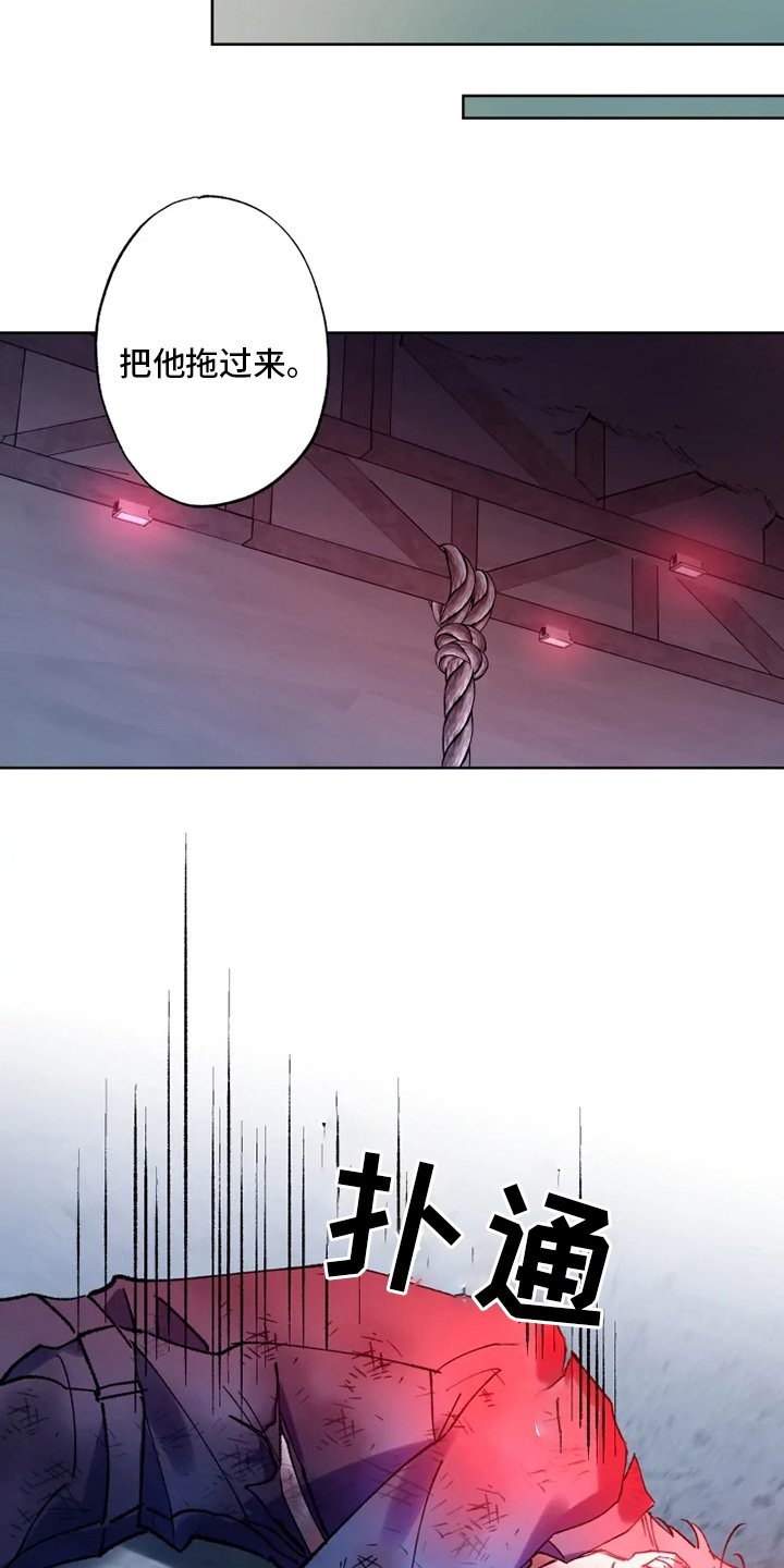 第26章：研究员