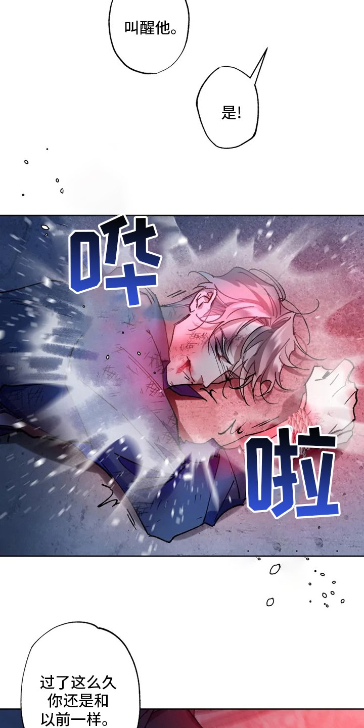 第26章：研究员