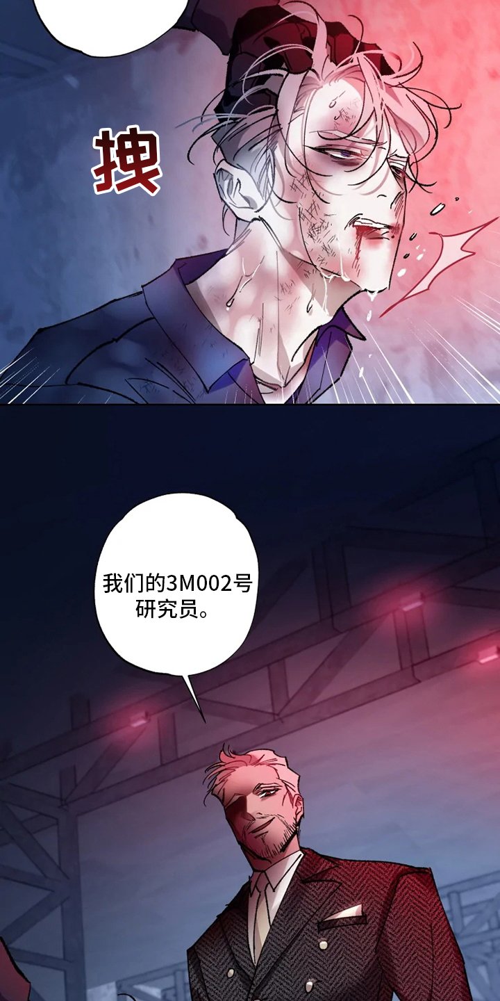 第26章：研究员