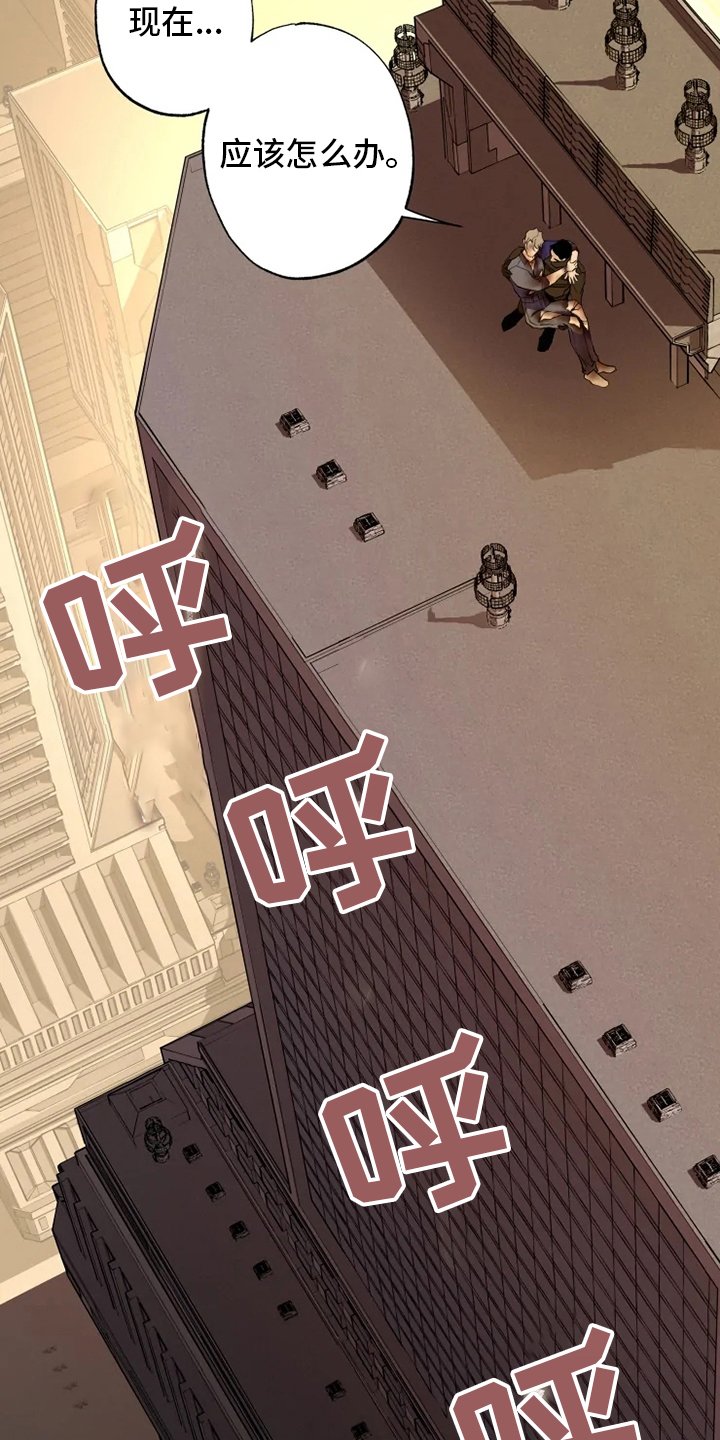 第29章：我相信你