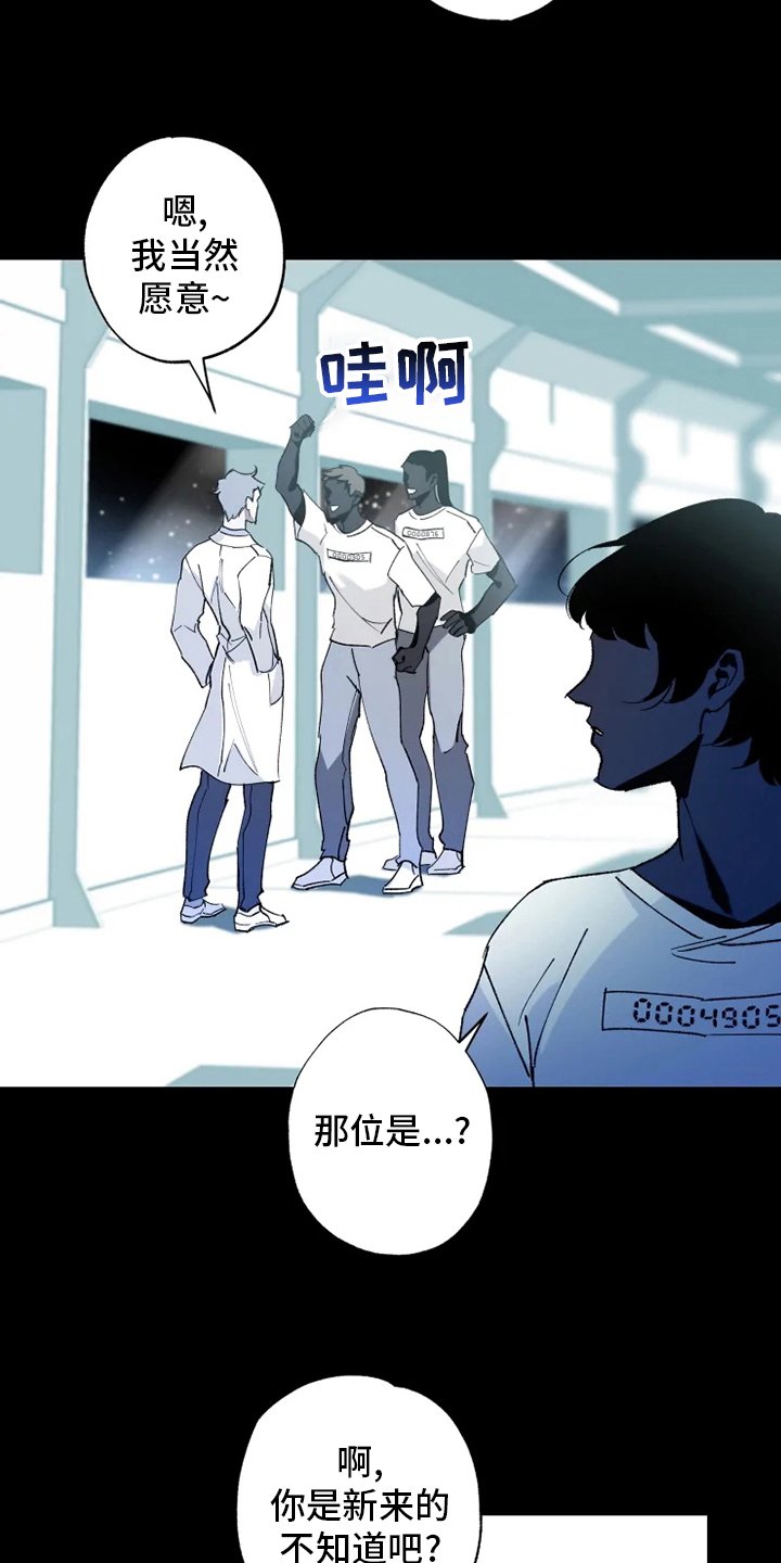 第32章：真正的现象者