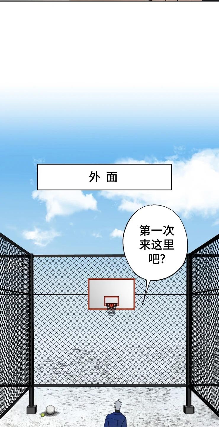 第42章：打篮球