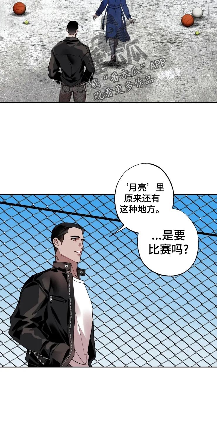 第42章：打篮球