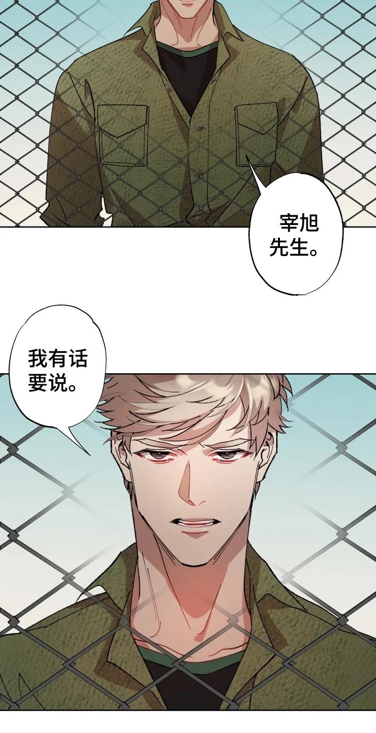 第42章：打篮球