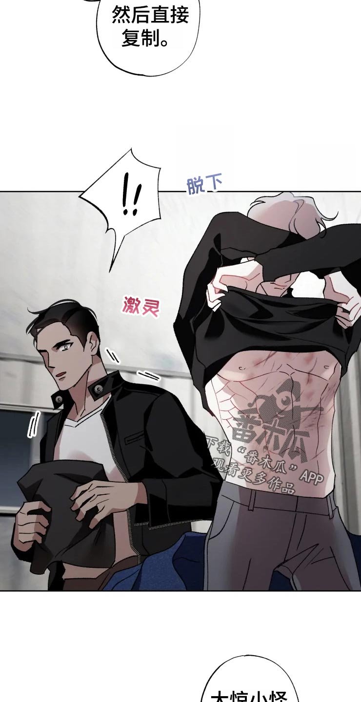 第46章：对策