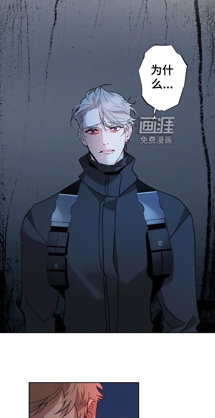 第49章：好奇