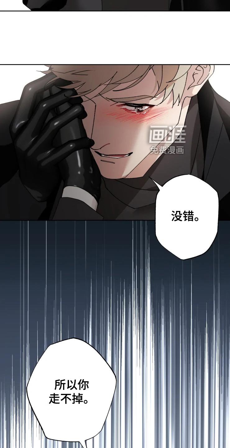 第50章：唯一的家人