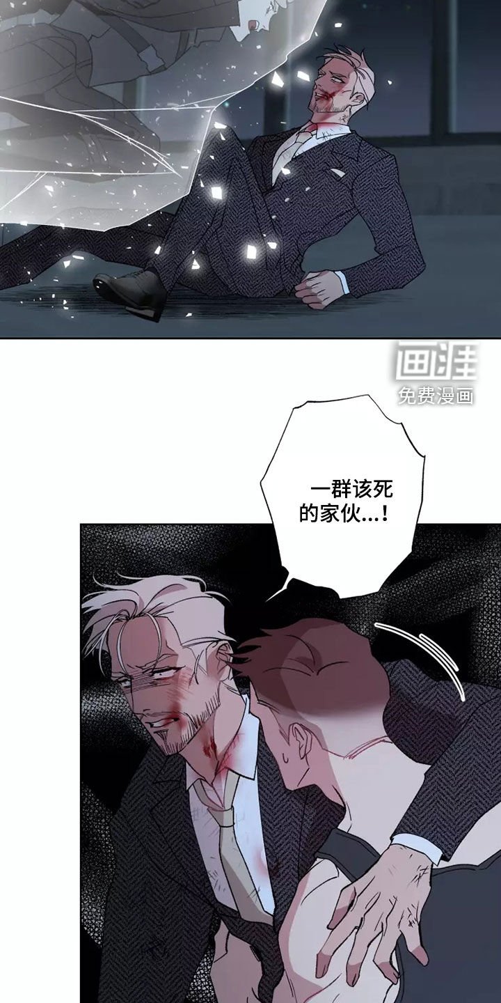 第55章：全部力量