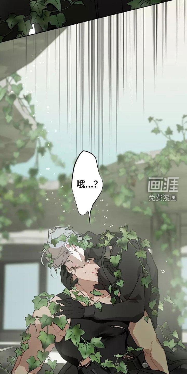 第58章：灾害化