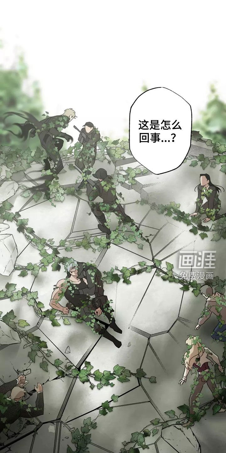 第58章：灾害化