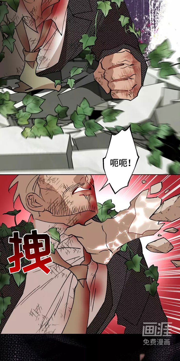 第60章：谈恋爱（第一季完结）