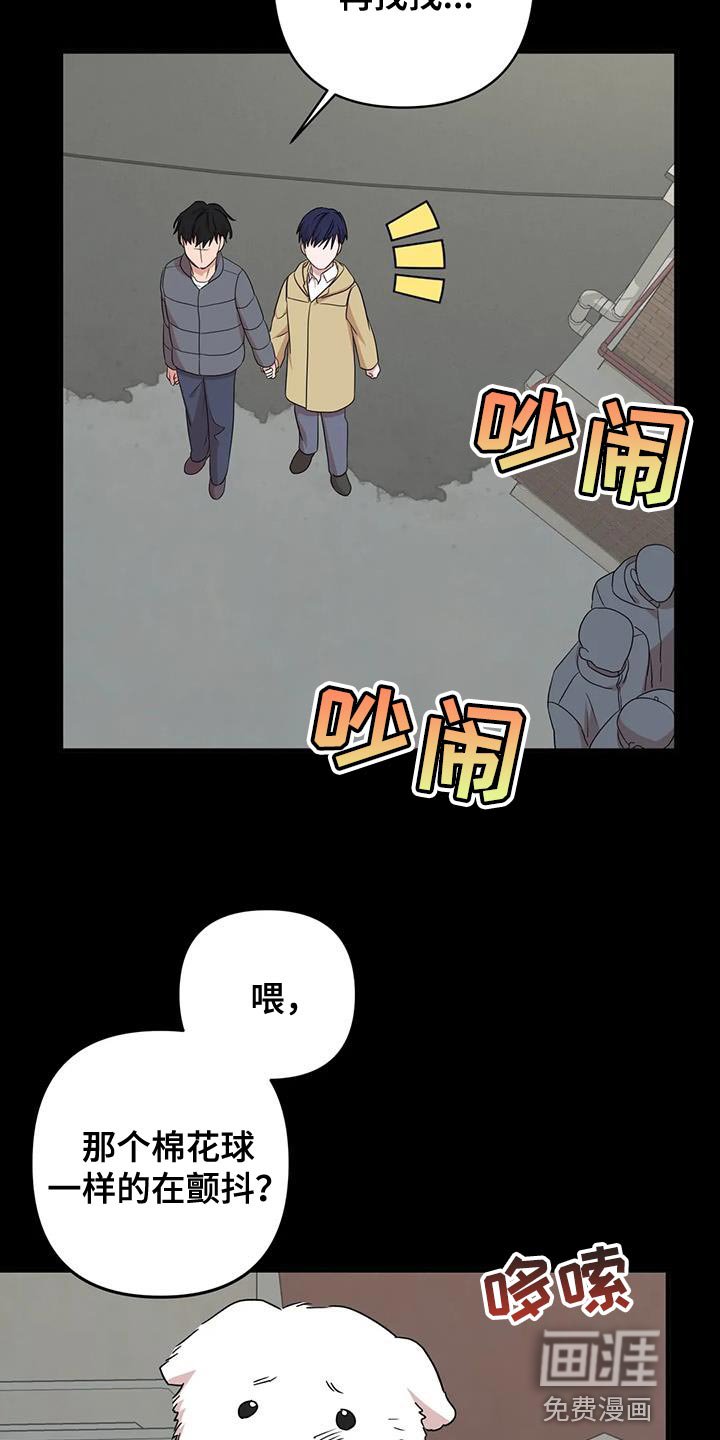 第29章：保护