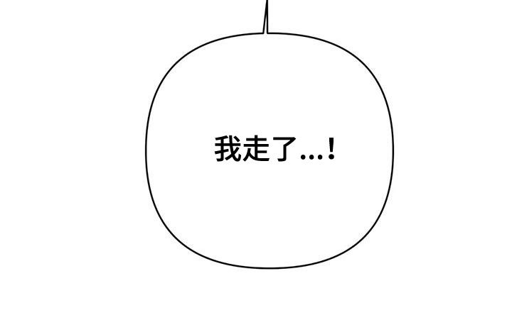 第33章：自己的想法