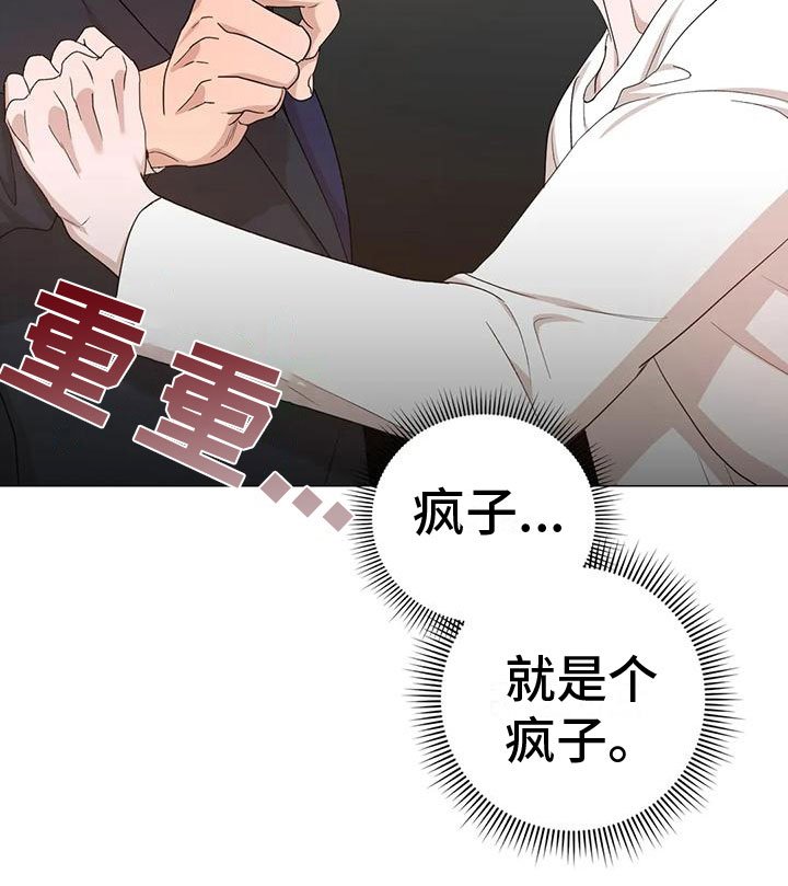 第7章：疯子