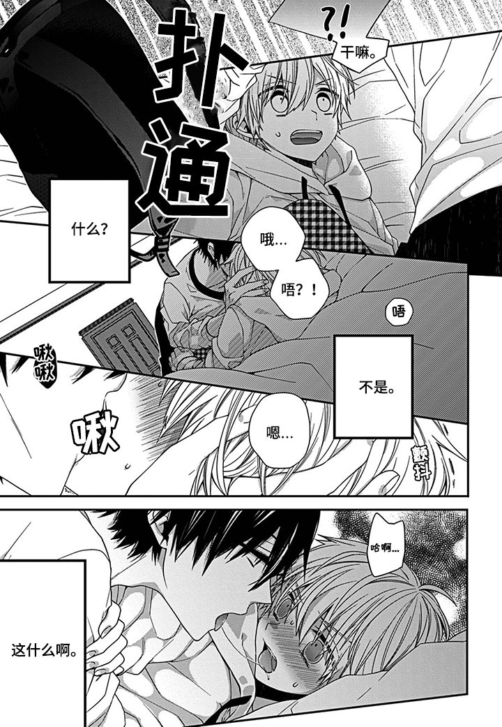 第3章： 放弃继承的原因