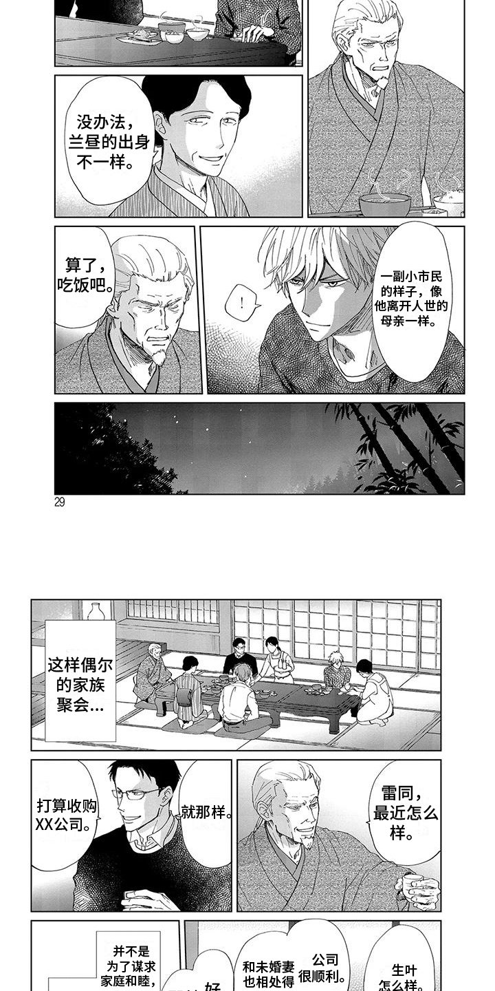 第3章：家族联姻