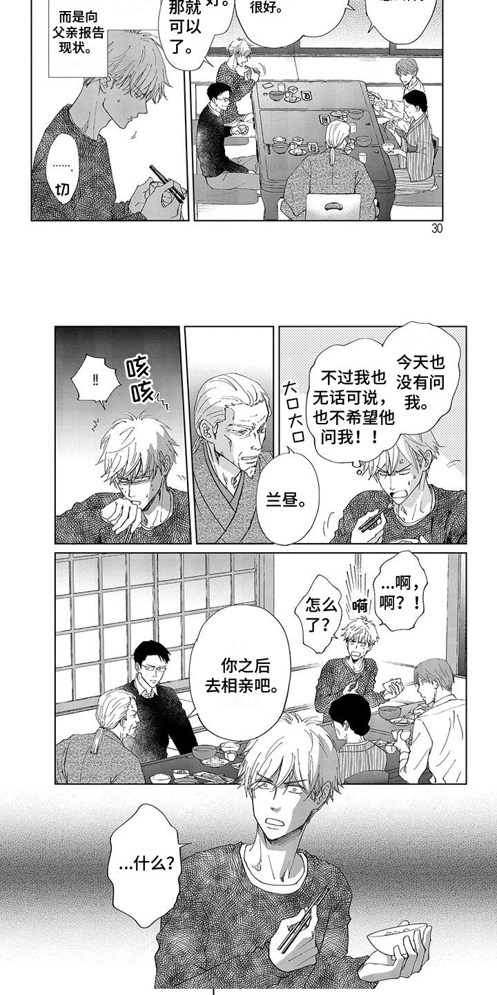 第3章：家族联姻